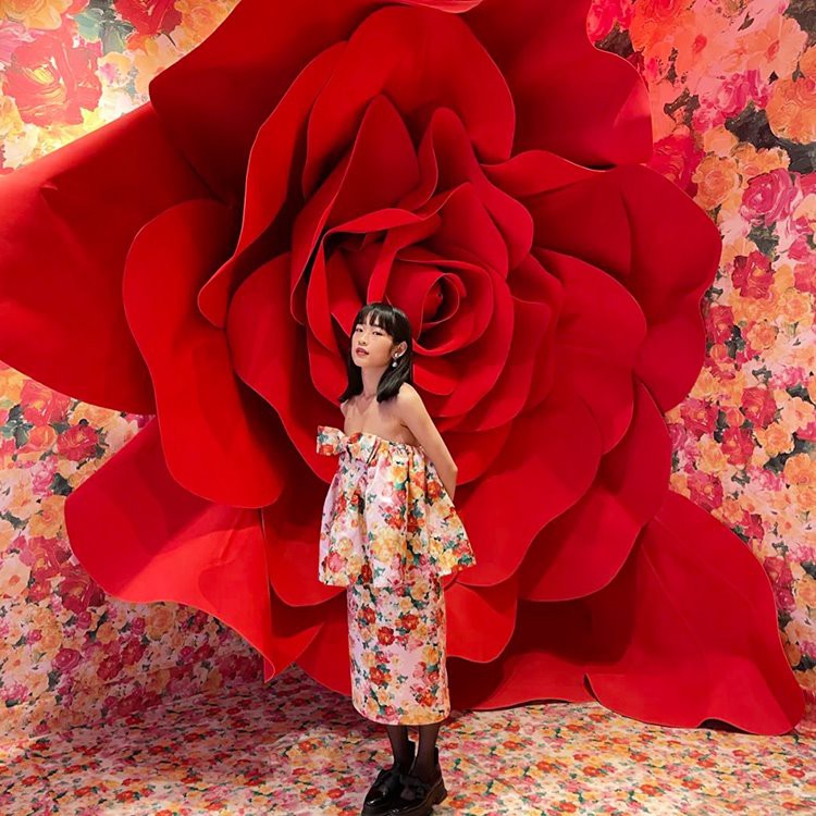 Milzu rožu fona rekvizīti