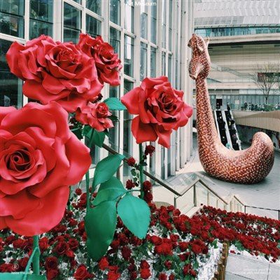 Valentīna dienas papīra zieds